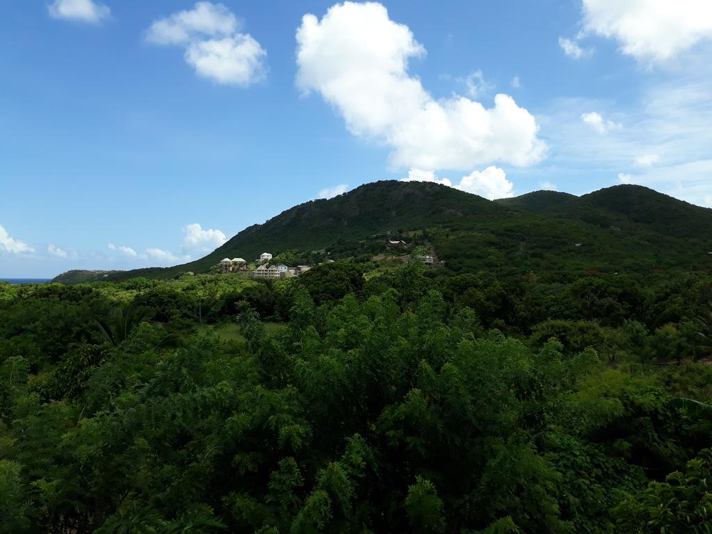 Apartment Unforgetable Gardens Falmouth Harbour Luaran gambar